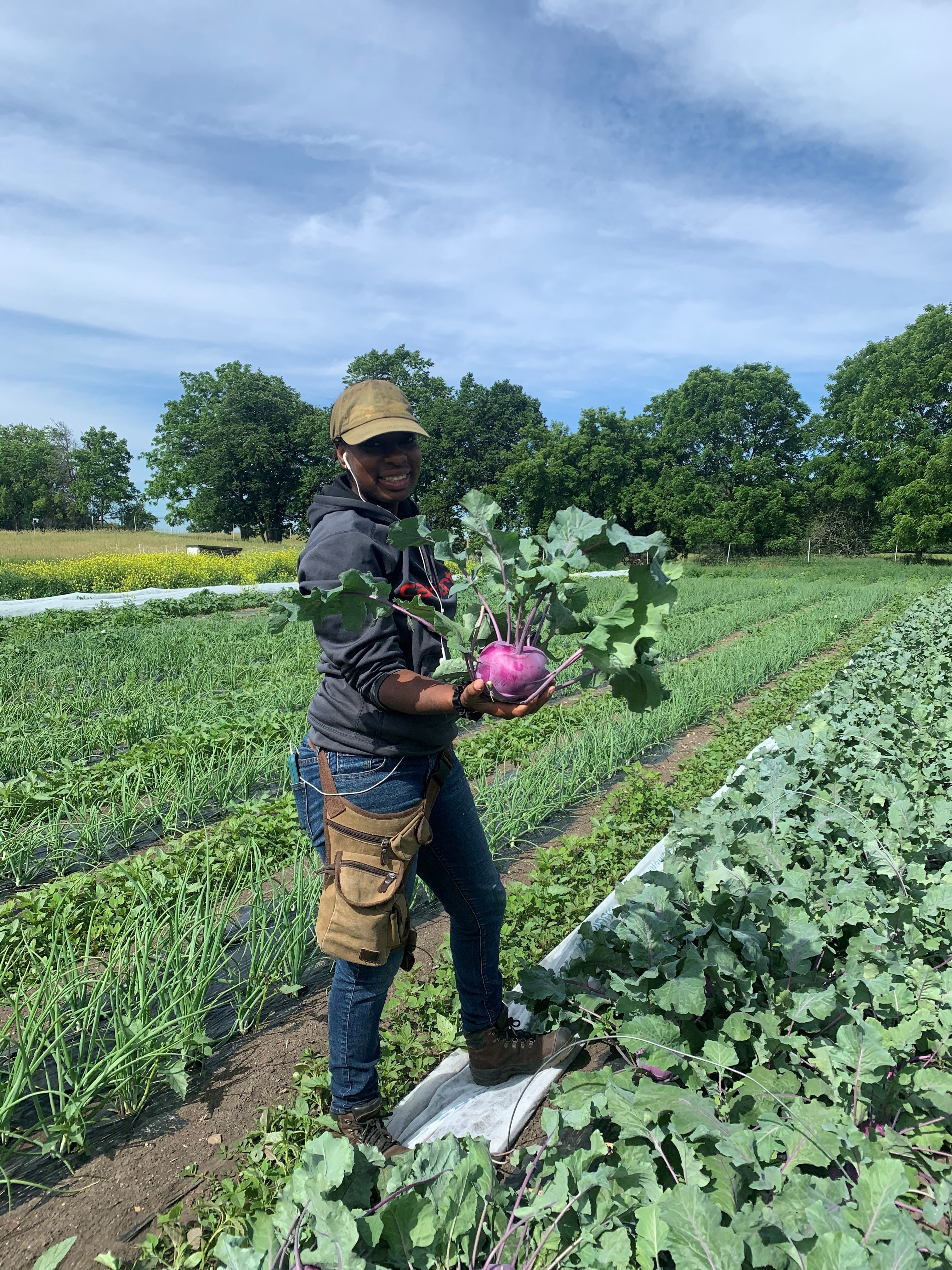 Spring Kohlrabi with Patty